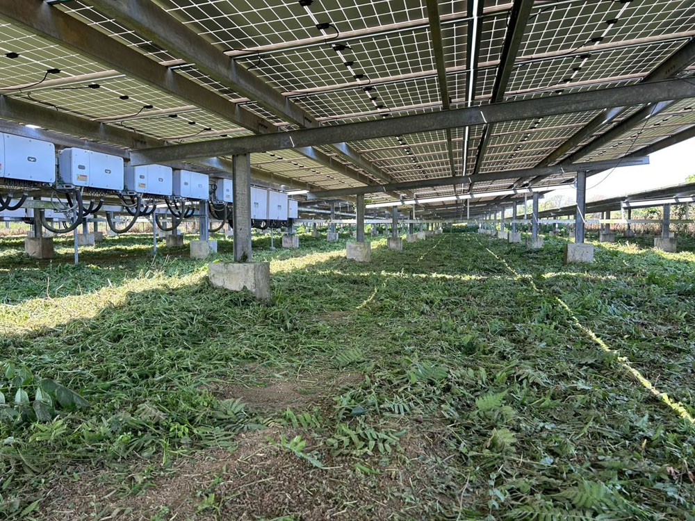 高雄太陽能案場除草工程